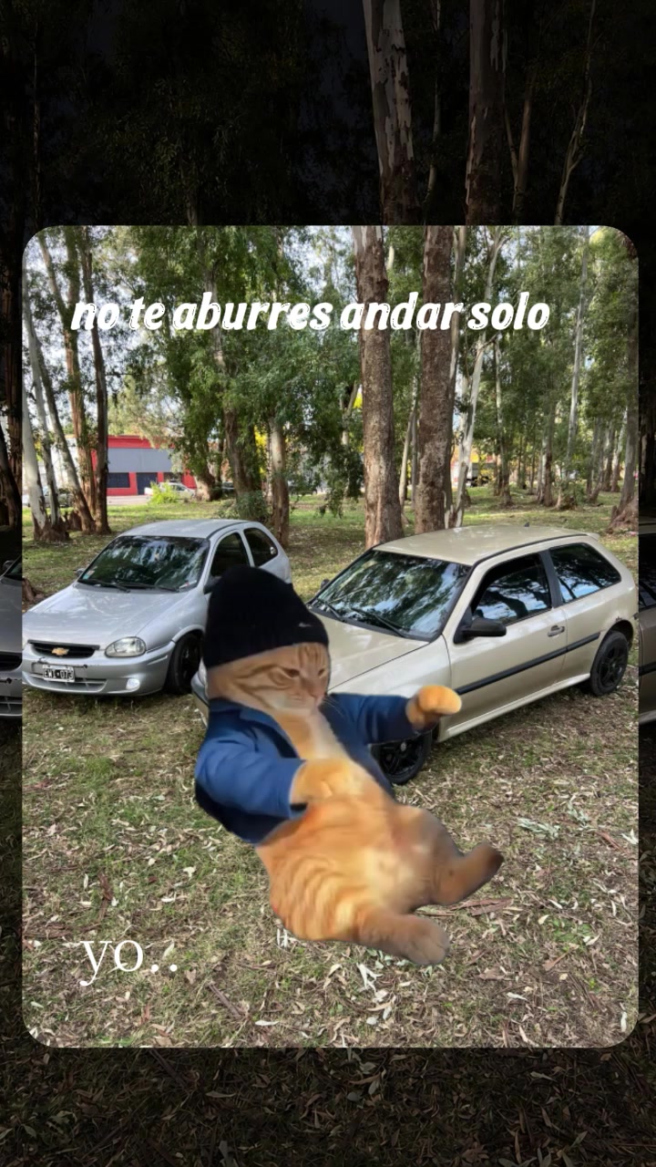 @Jor 🥷🏻✌🏻