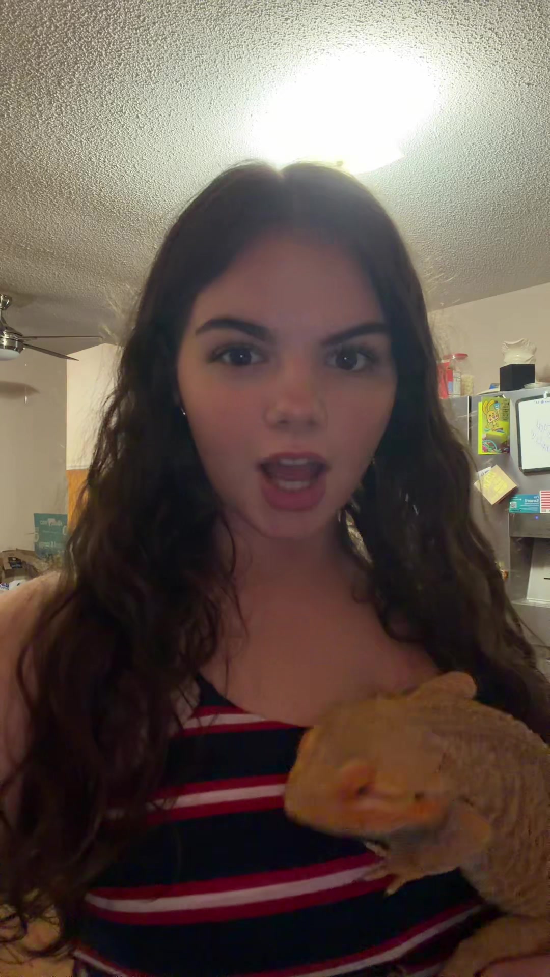@meatymitch65