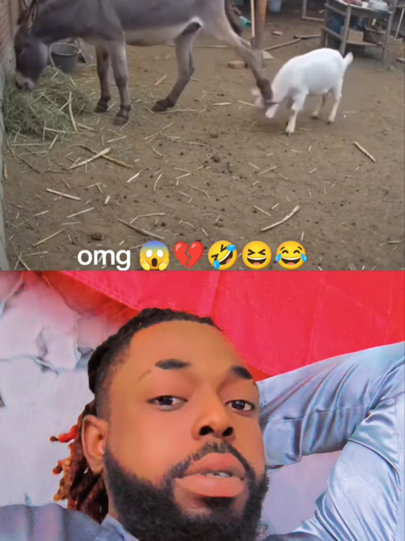 @𝐎𝐅𝐅𝐈𝐂𝐈𝐀𝐋 𝐌𝐂𝐃 🇨🇦