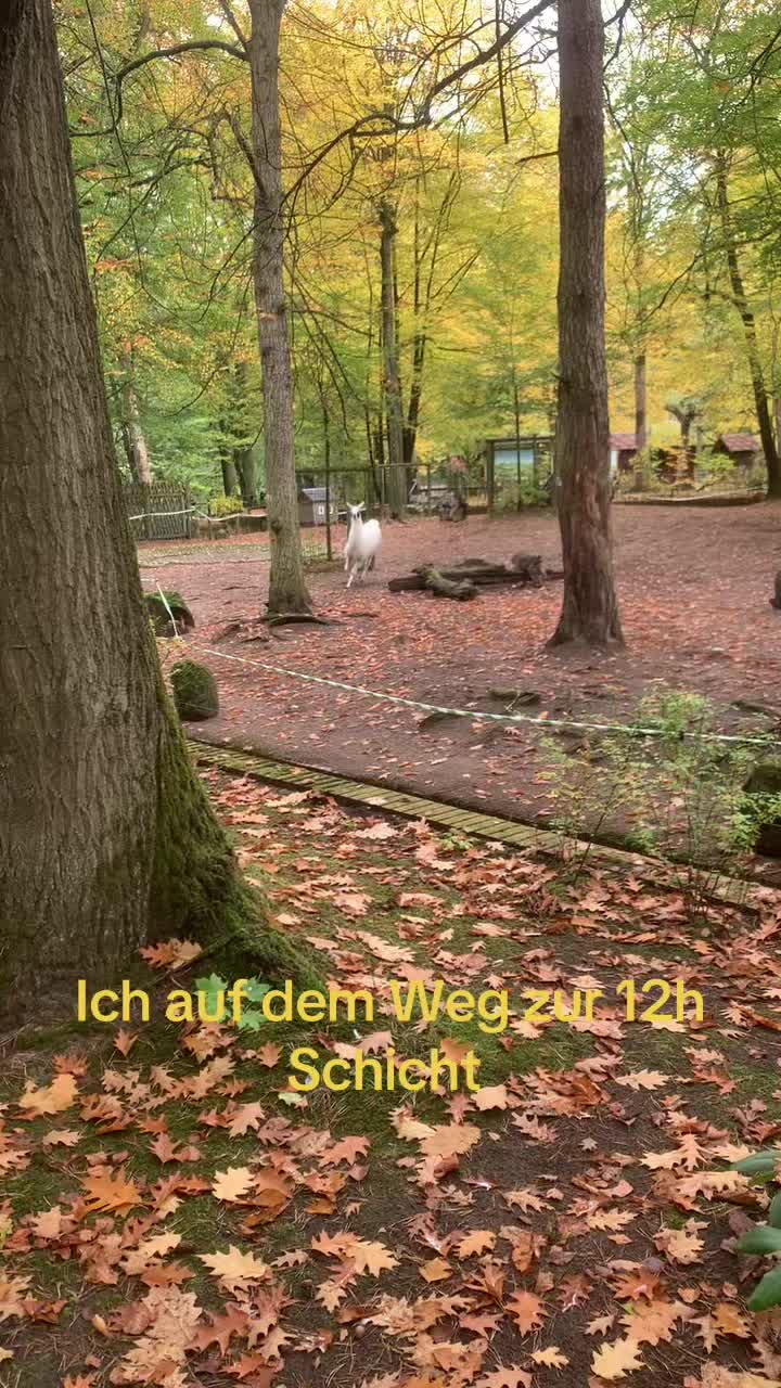 @Der Notfallsanitäter