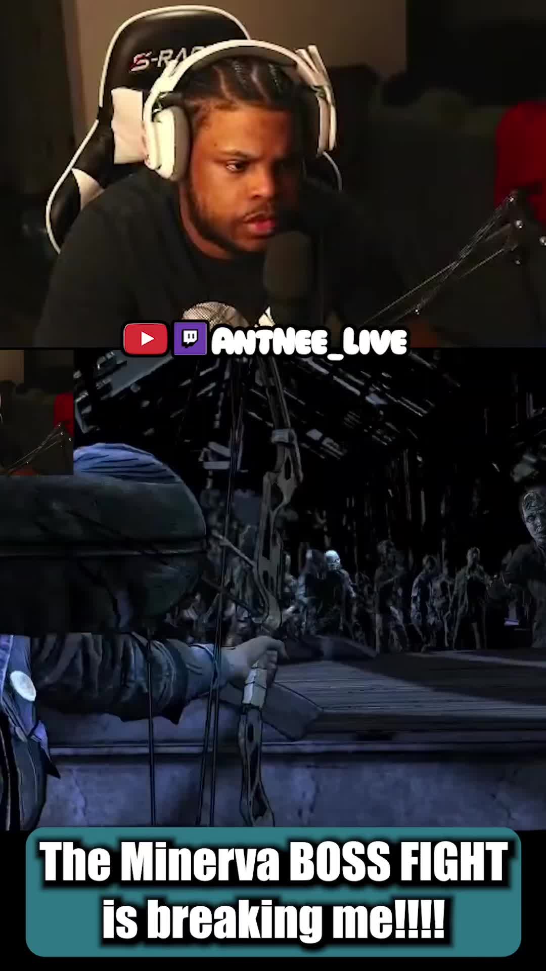@AntNee Live