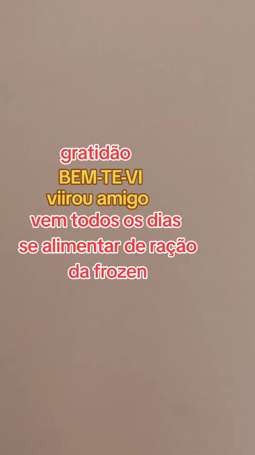 @Maria Jos&eacute; Batista d