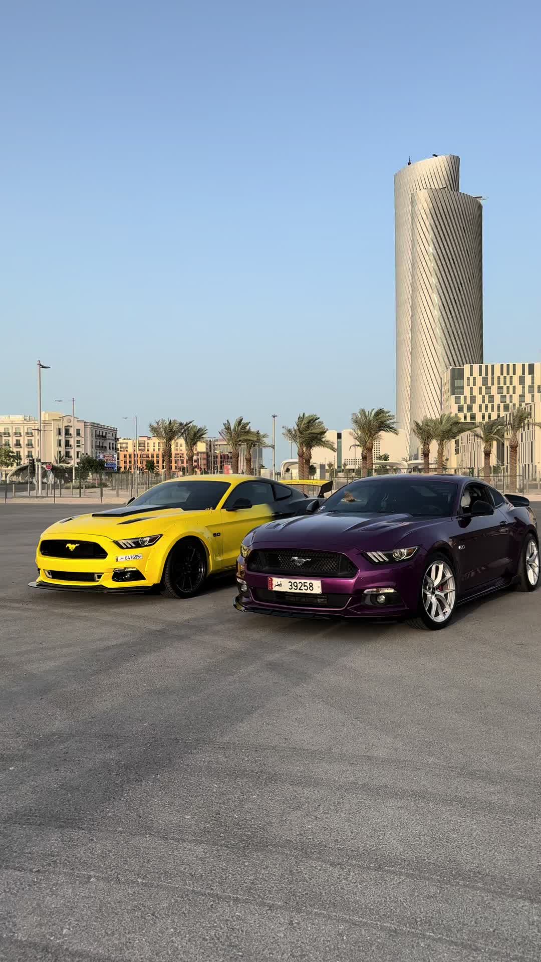 @qatar.vehicle