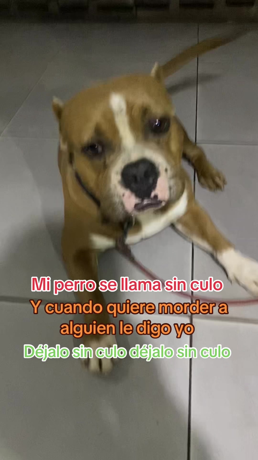 @Juanvi ❤️🔥😘❤️ S.E