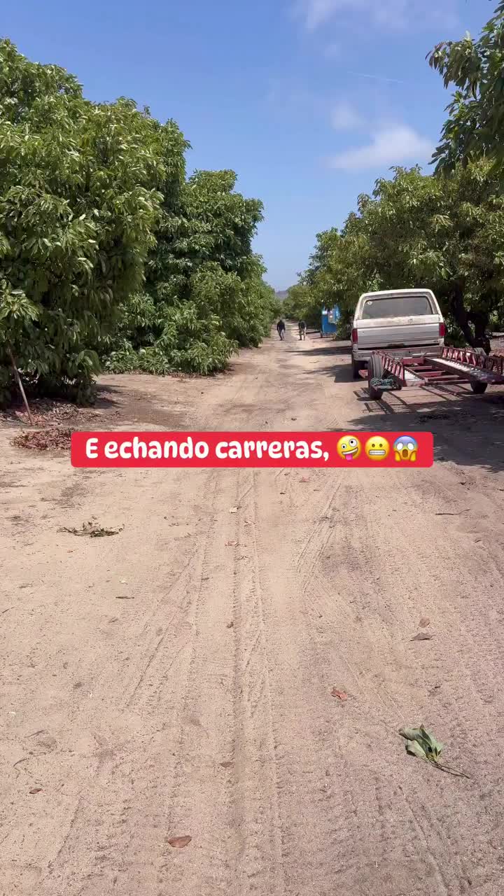 @Elo Santana 🥑🍊🍋
