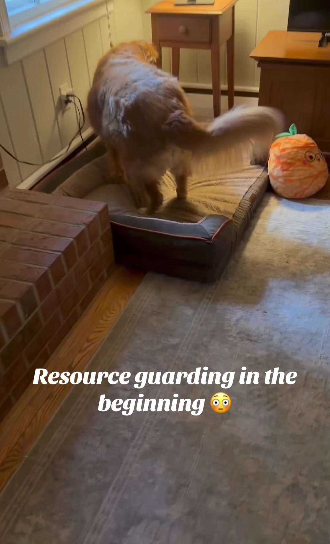 @lifewithduke2025