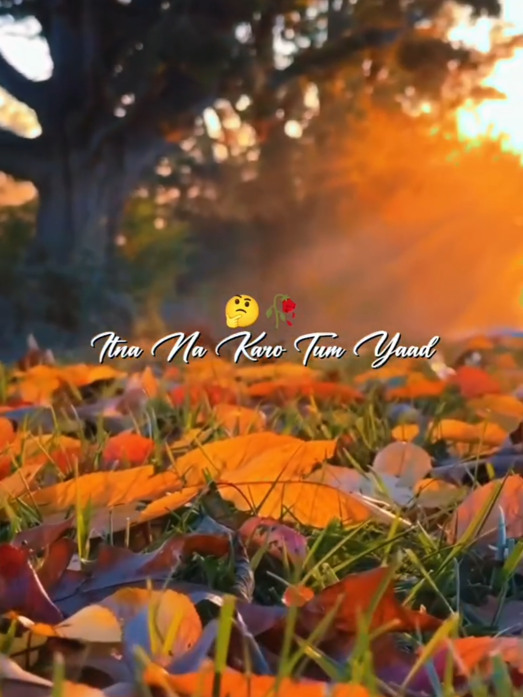 @๐ฆโAkashโก_Hun_Yr๐๏ธ๐ค