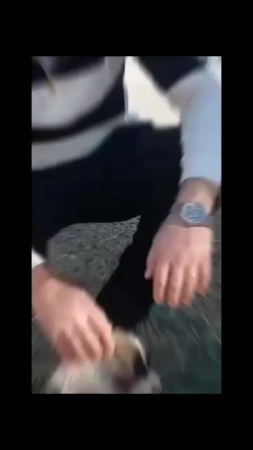 @Veterinar Dr.Firdovsi | Baytar