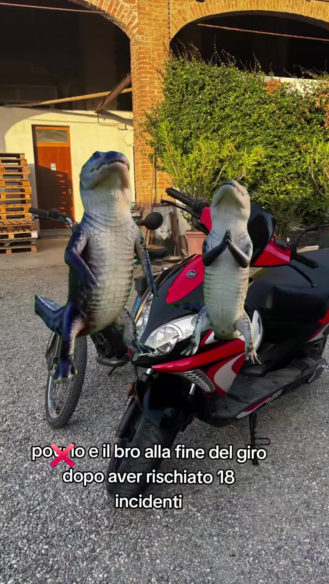 @💎17💎