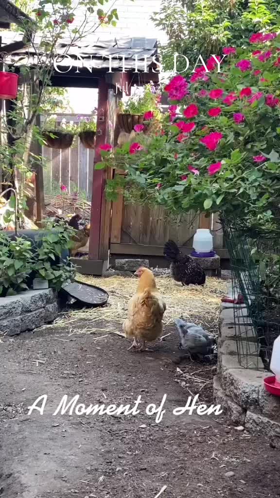 @FusterCluck Farm