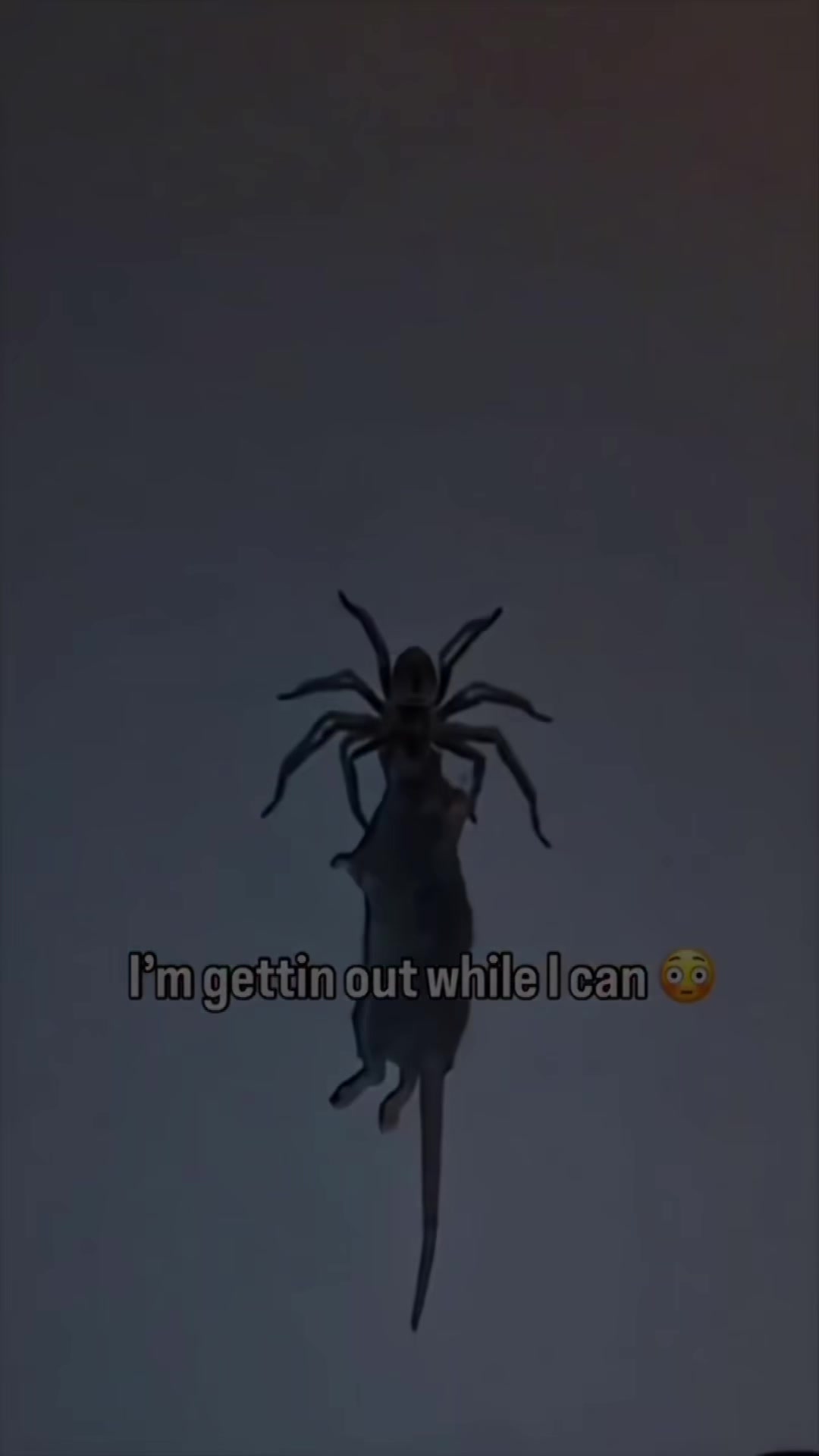 @1kdeee