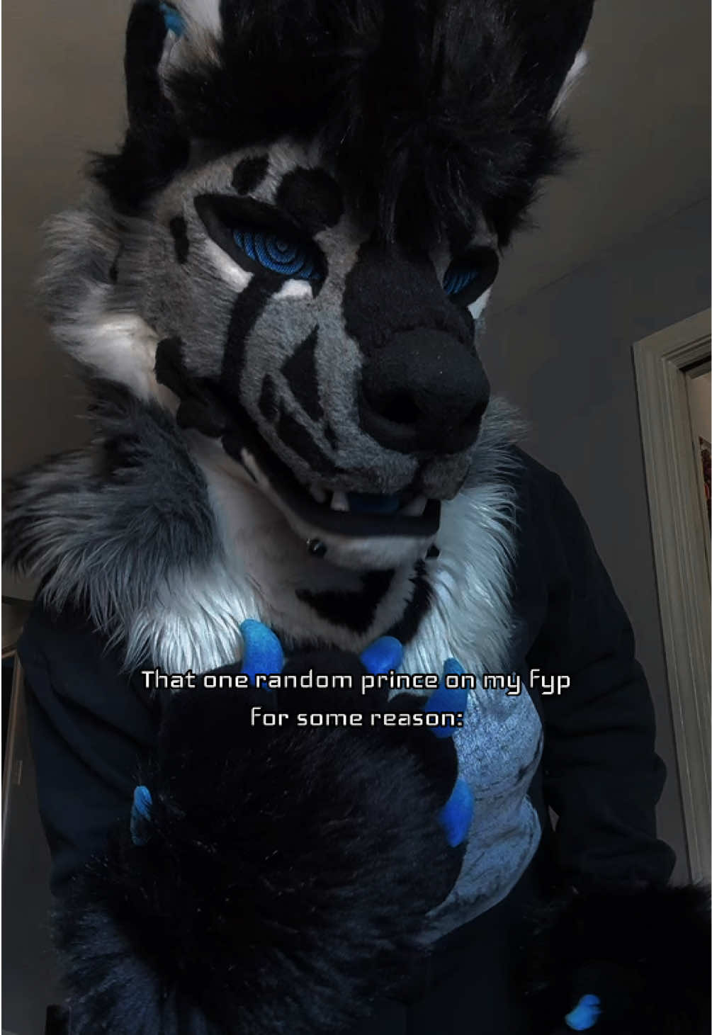 @sonar_hyena_shark
