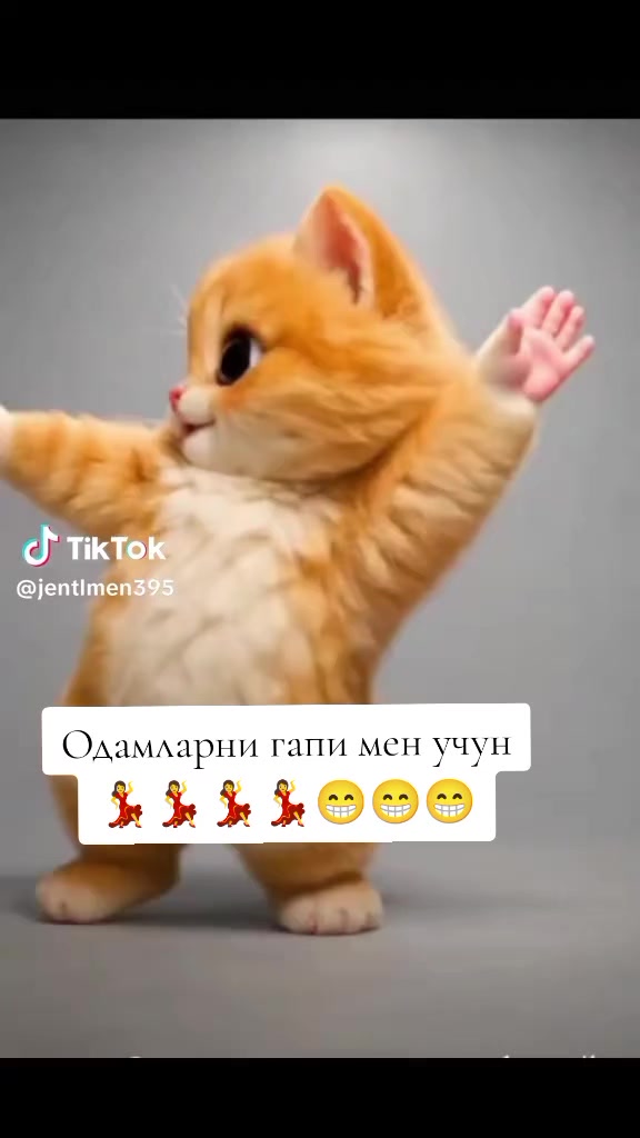 @Дина 571