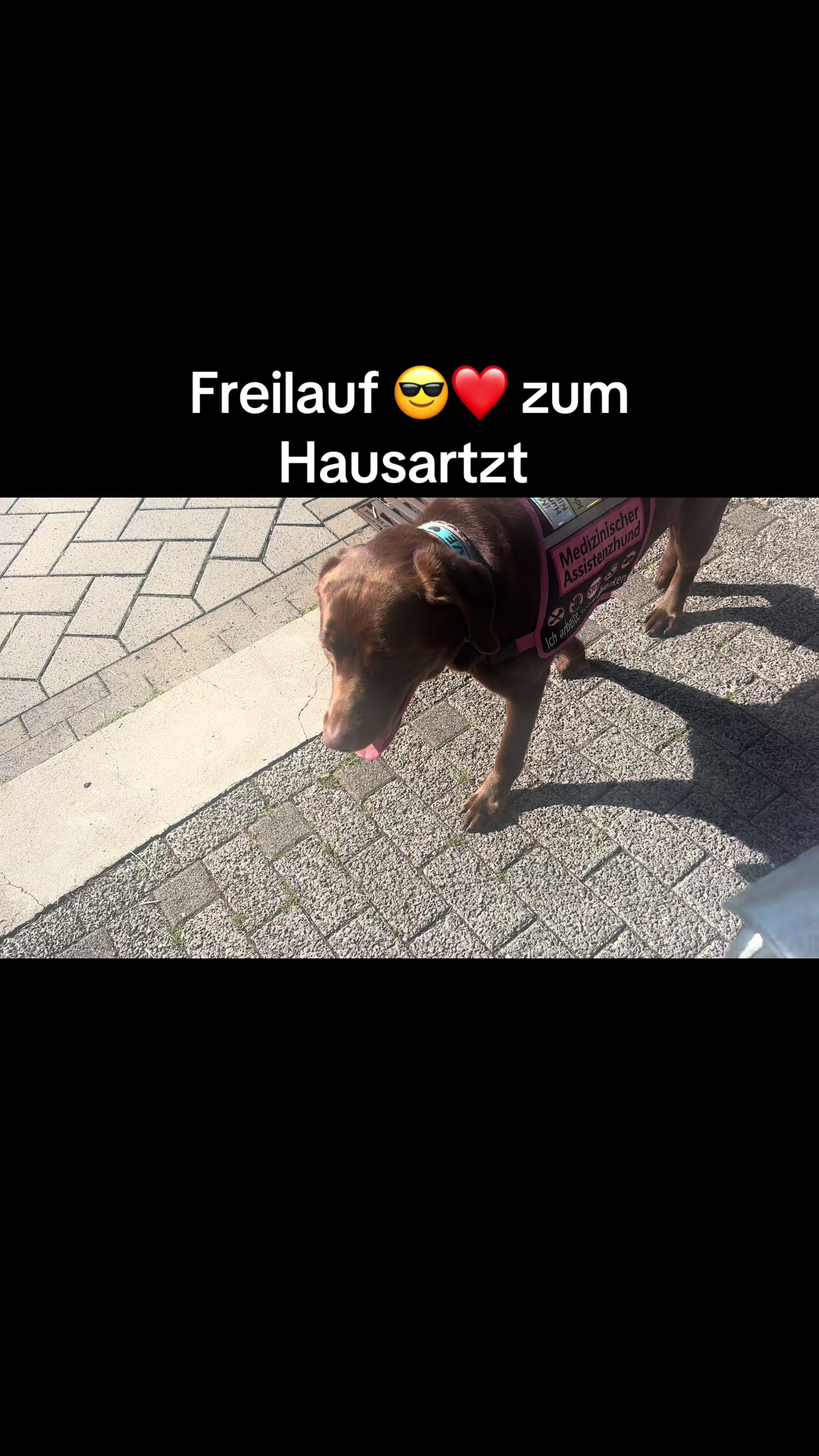 @teamlidialissy