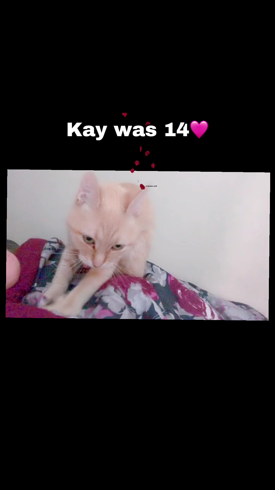 @Kay