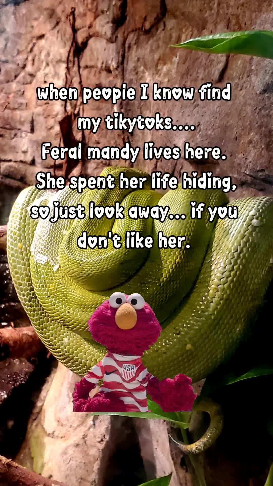 @Mandy, Just Mandy