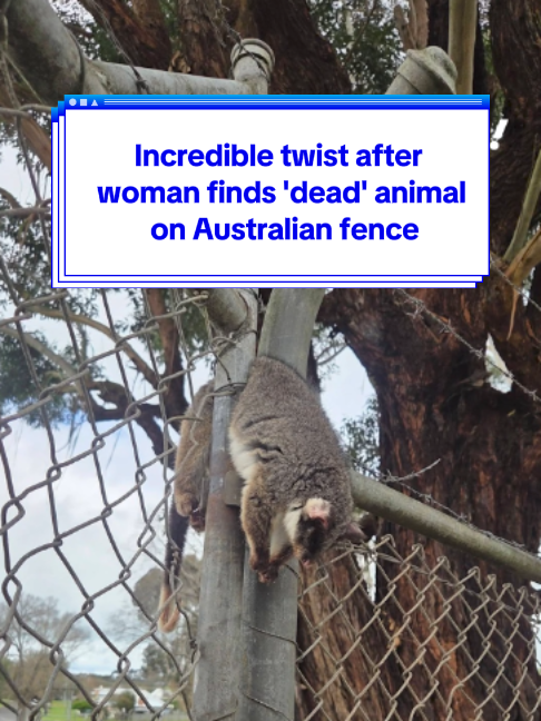 @Yahoo Australia
