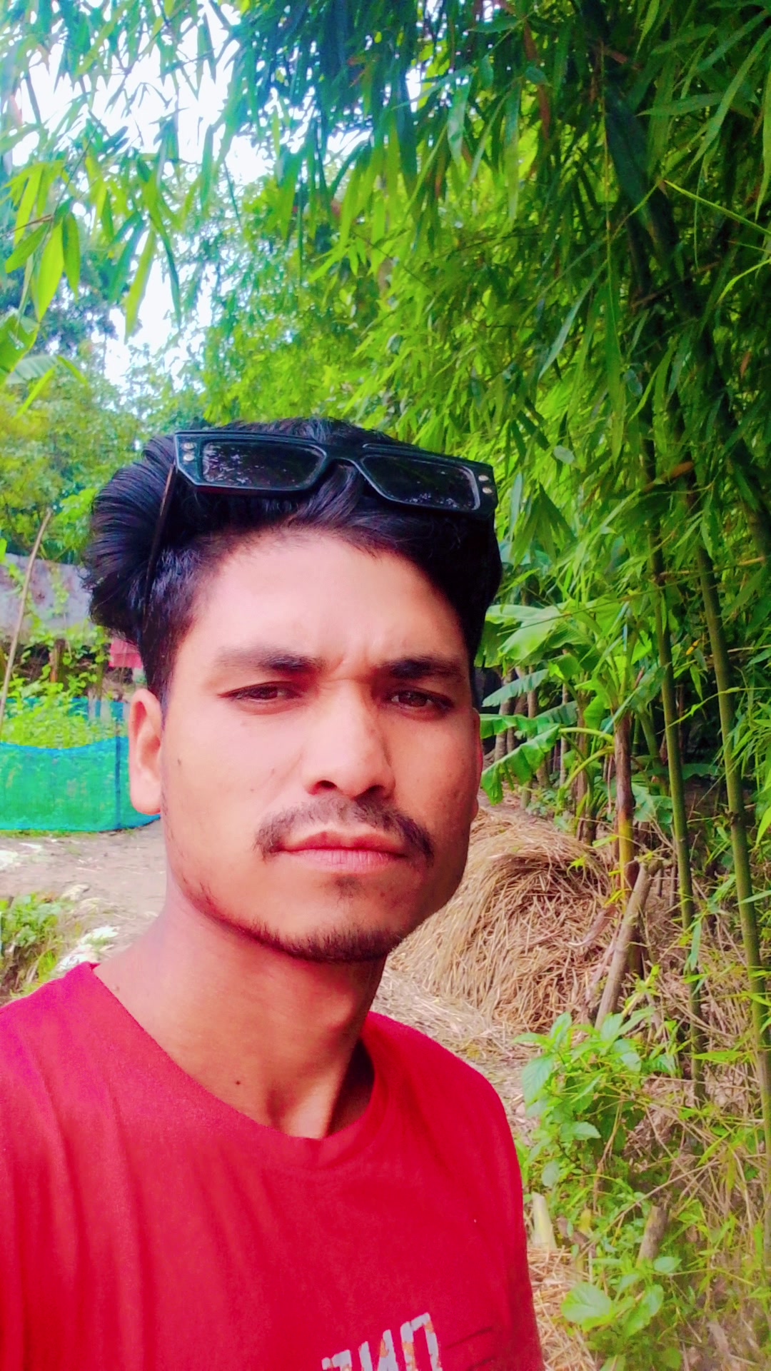 @Mofidul Islam
