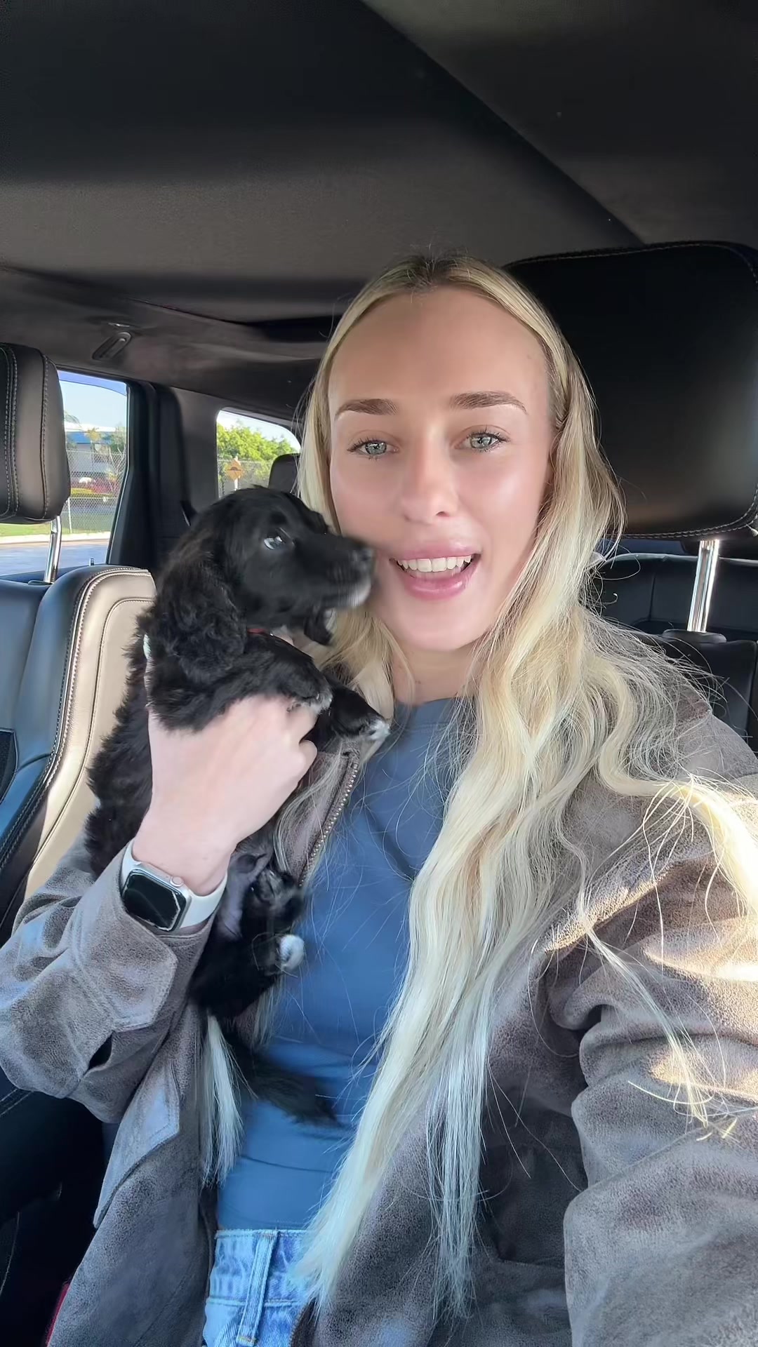 @Dachshund Dynasty