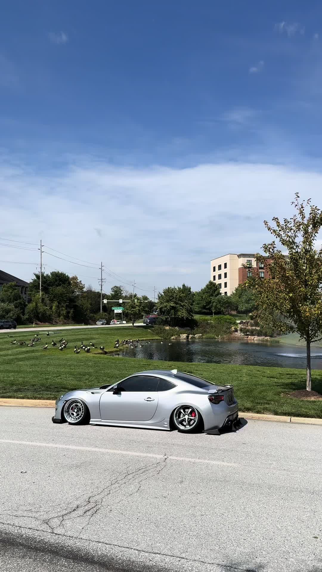 @Icy.Brz