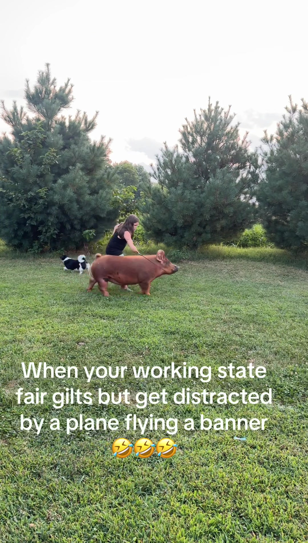 @Caasssss