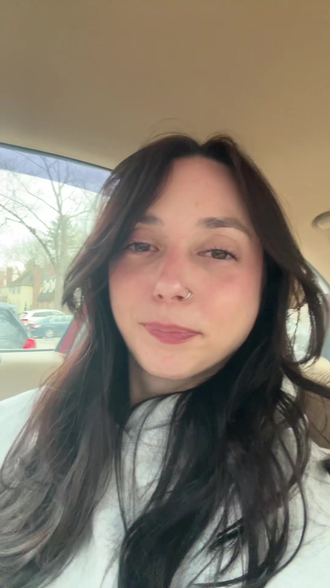 @briconatorfries
