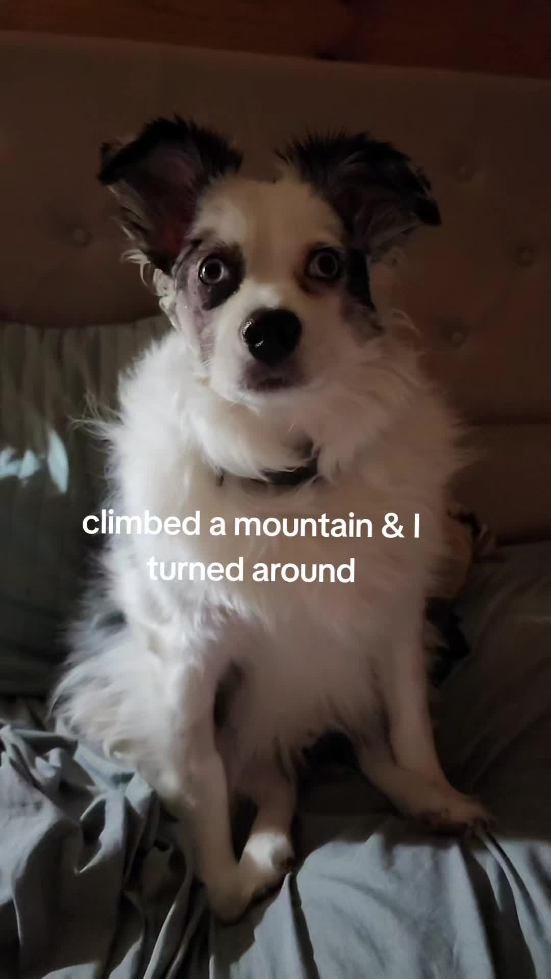 @mrpuddles