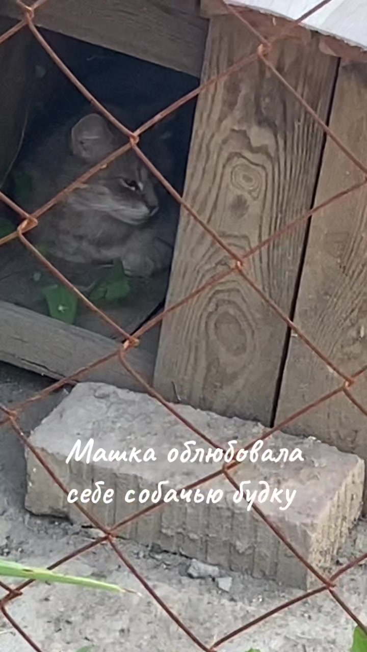 @Abrikoshka