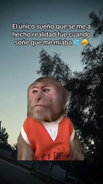@Osiel Hernandez II
