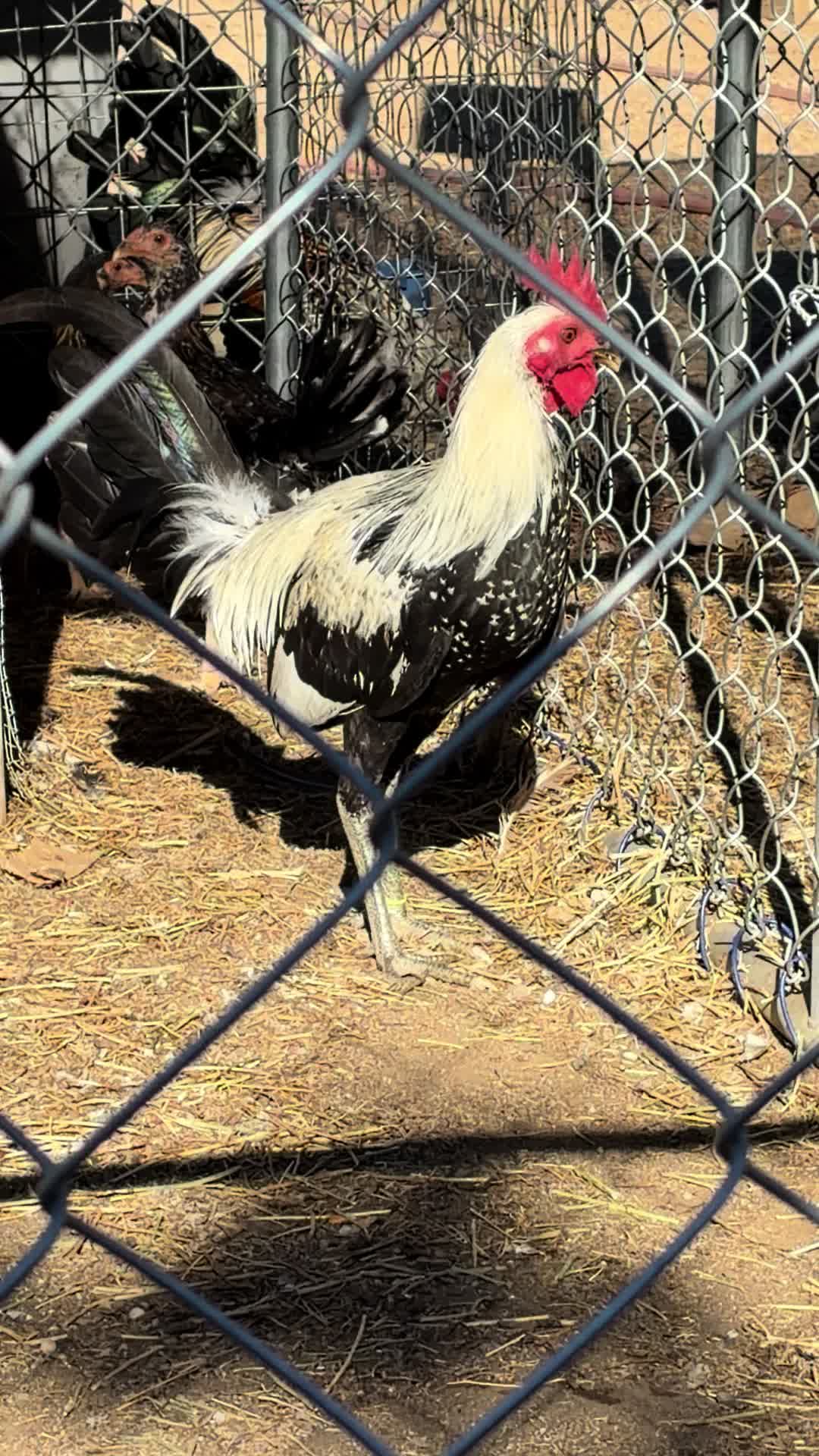 @A.MENDOZA.FARM.USA 74HWY