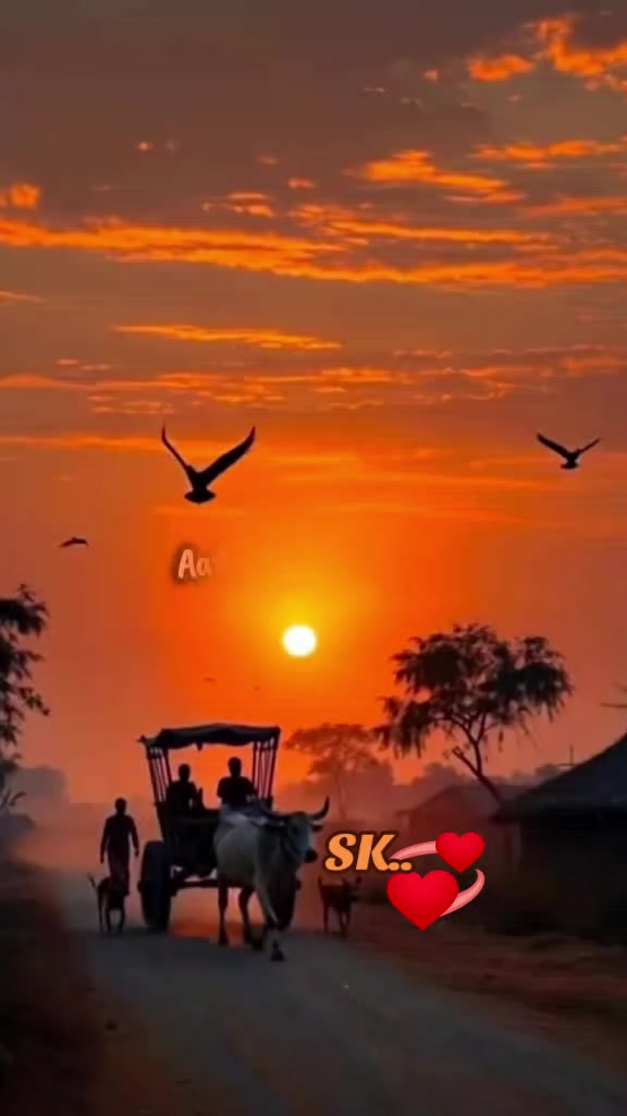 @🌺SKS🌺😘