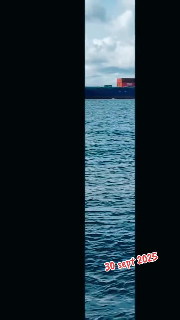 @ТILZIT 88-90