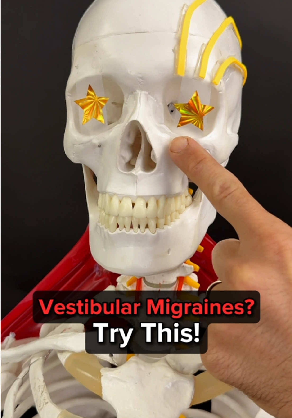@Dr. Joe Damiani, DPT
