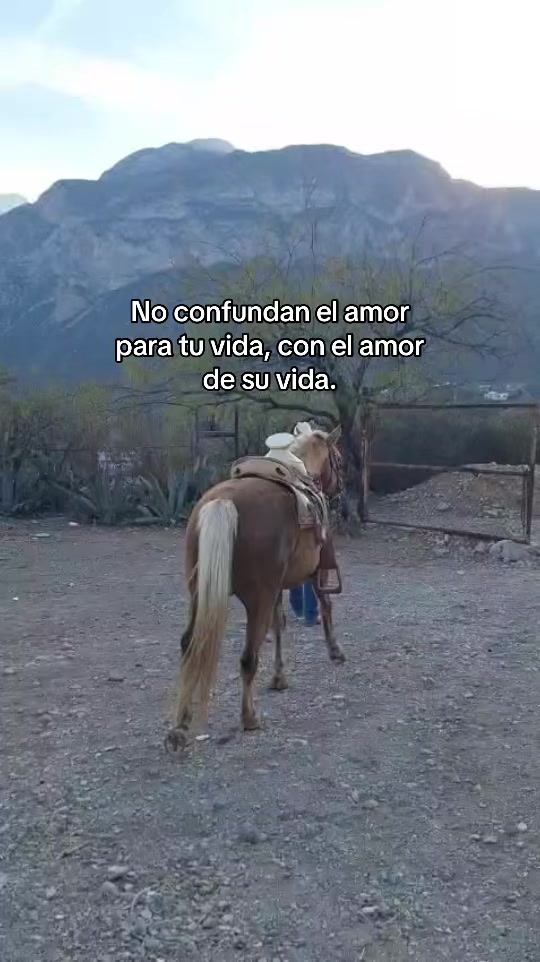 @El Wero Garc&iacute;a🤠🇲🇽