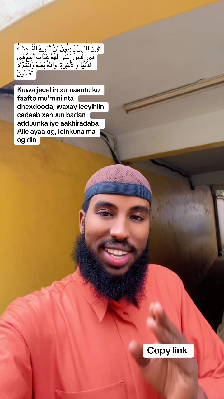 @Qalbitajir