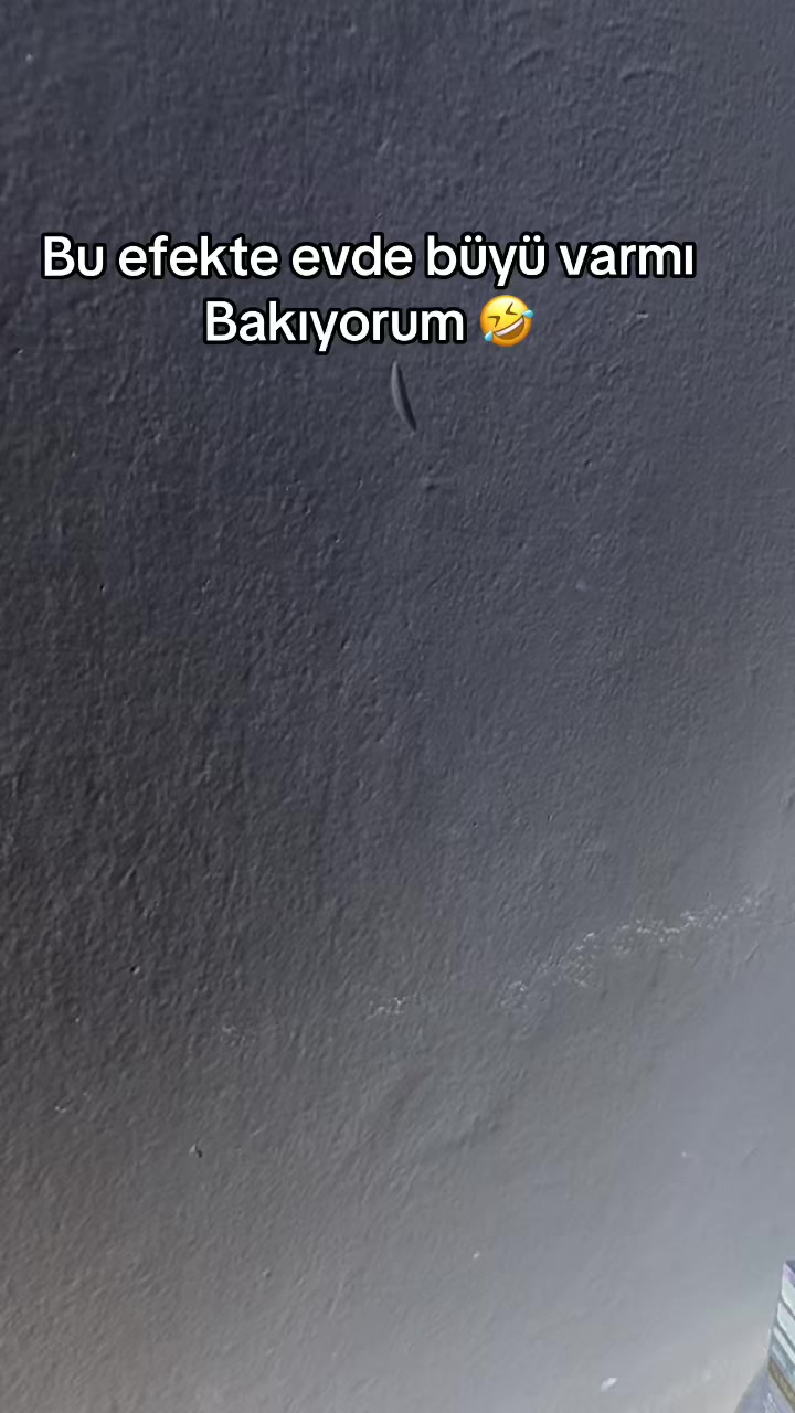 @Aslan kadını🦁