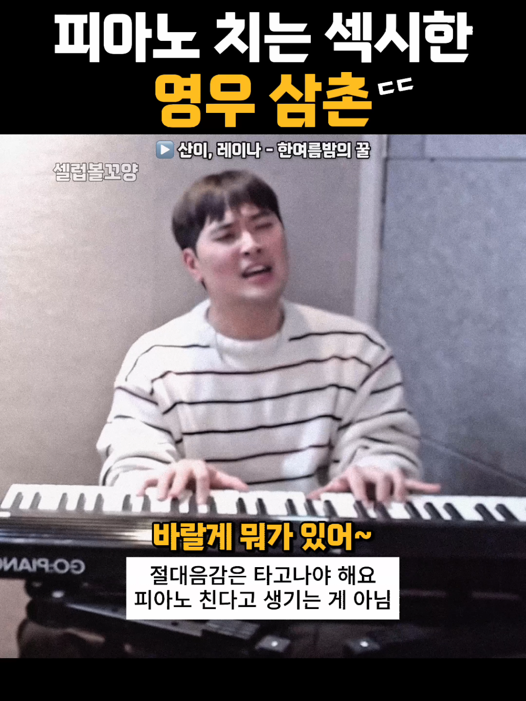 @셀럽볼꼬양