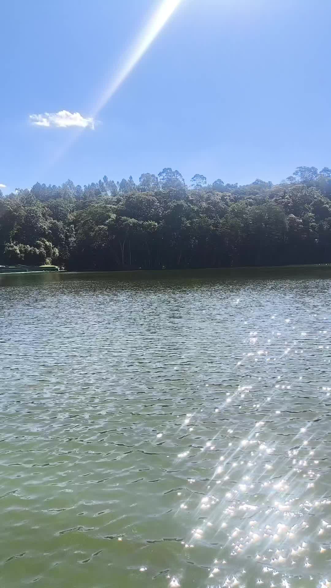 @Patrão da Pesca