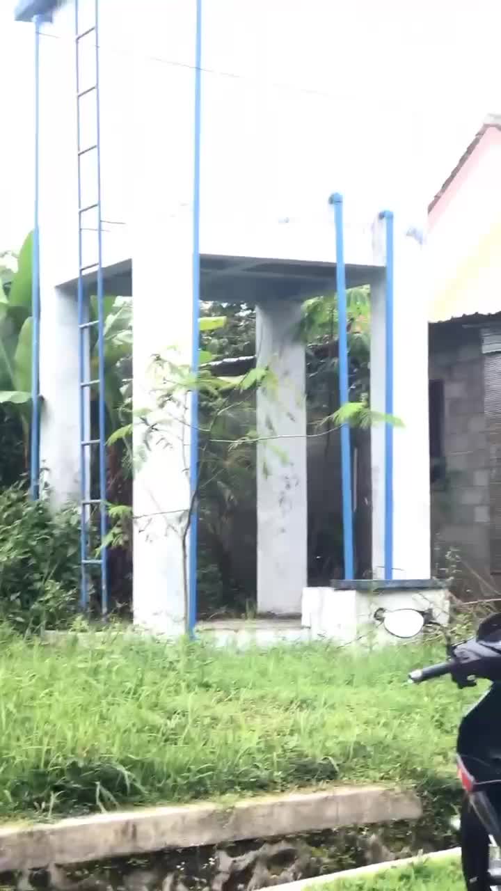 @rejasfaaa