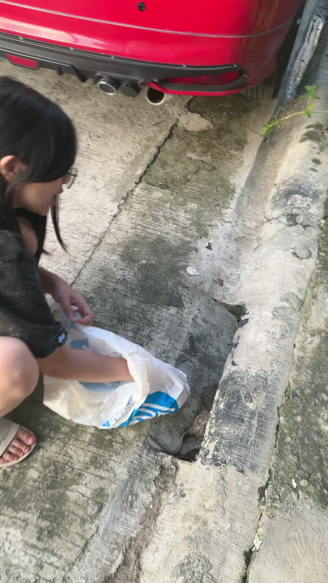 @nica dela cerna