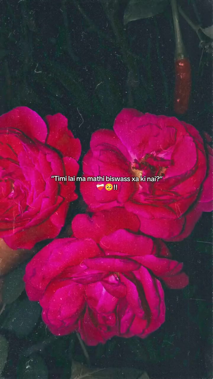 @ミ🌷 𝐒𝐢𝐦𝐩𝐥𝐞 𝐁𝐨𝐲 🌷彡