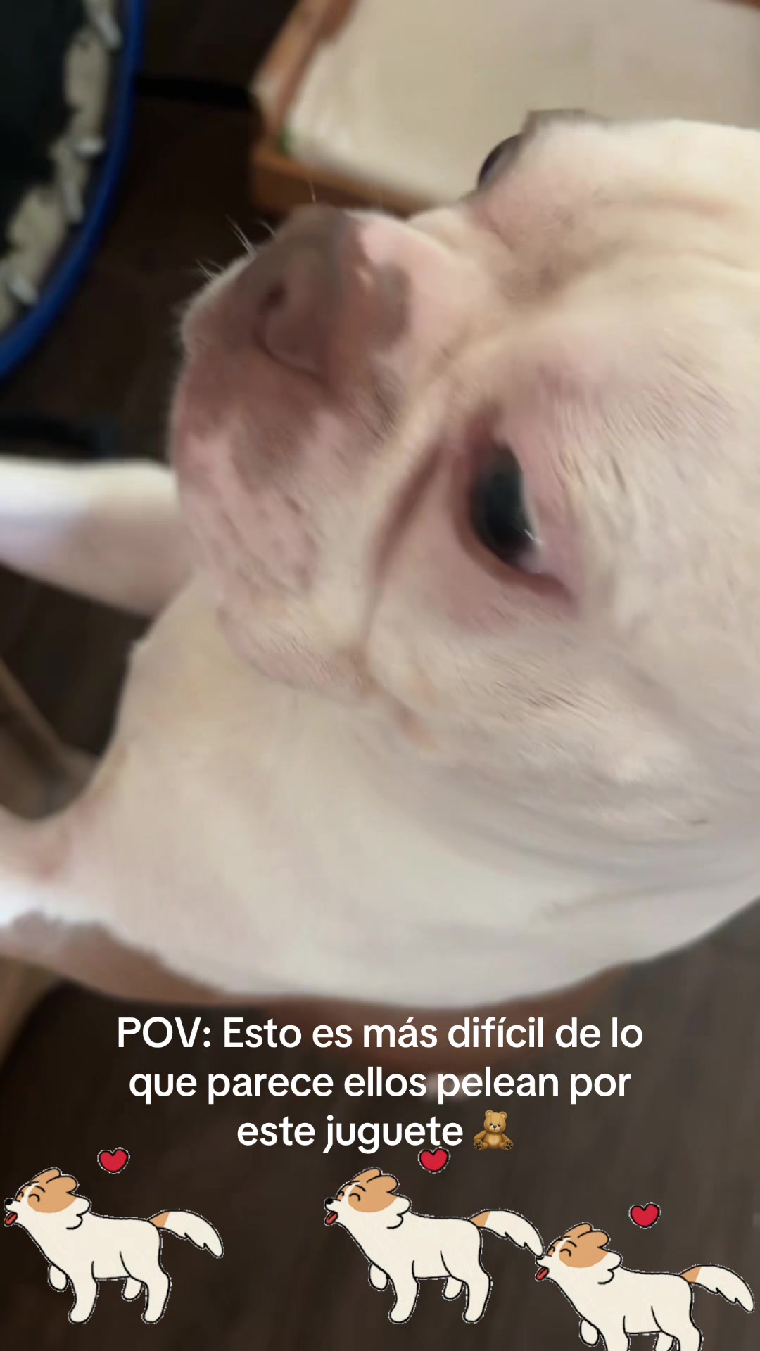 @los3huevertos