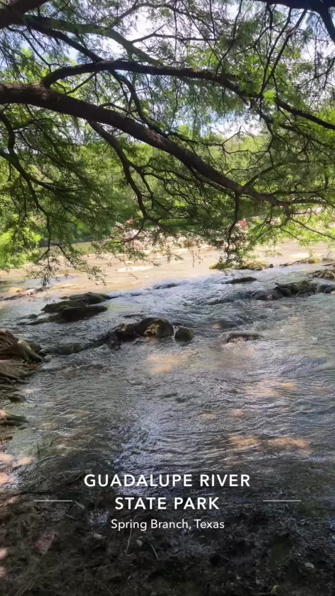 @themississippicoon
