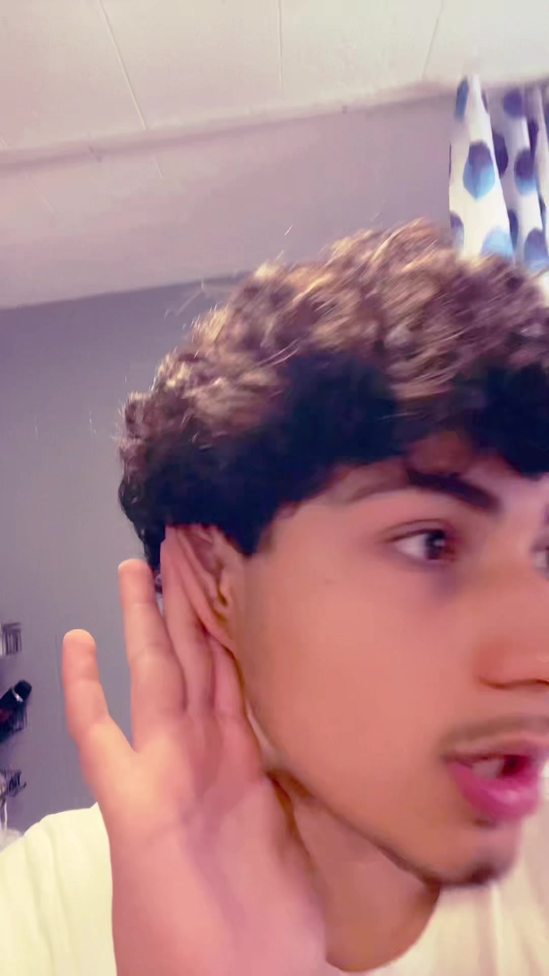 @ridvanchan