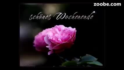 @Manu52
