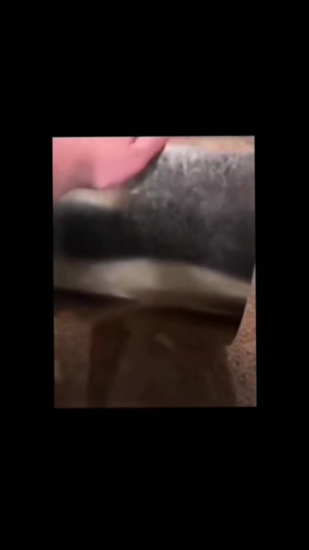 @p3arzdew