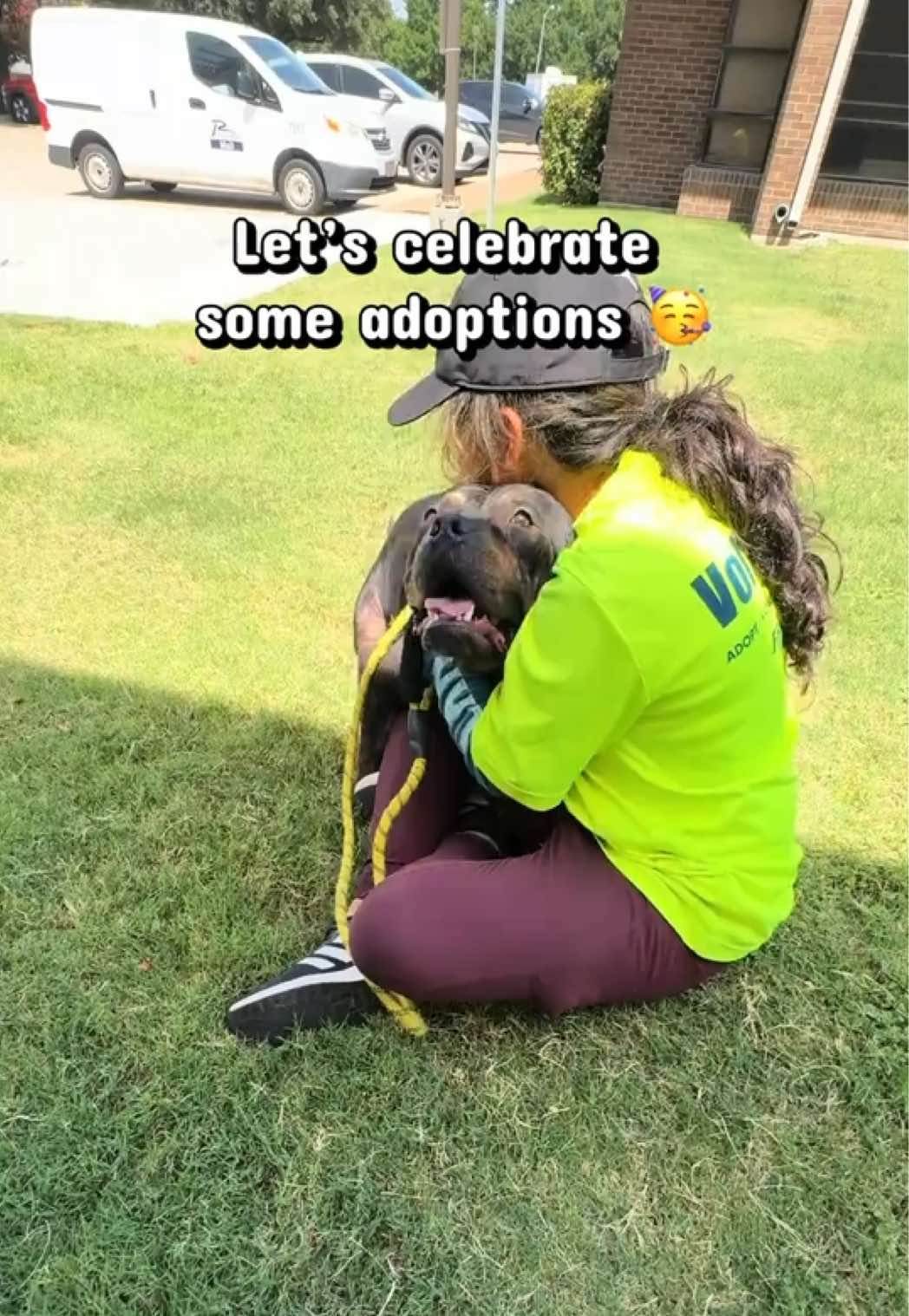 @emilyloves.shelterdogs
