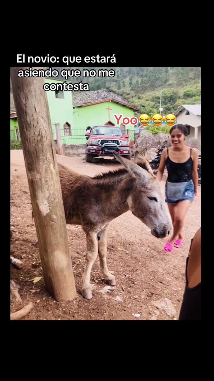 @Las loc@s