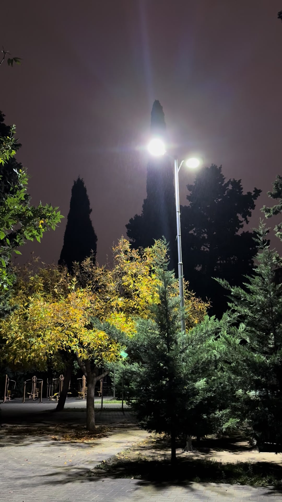 @Turanə Əliyeva