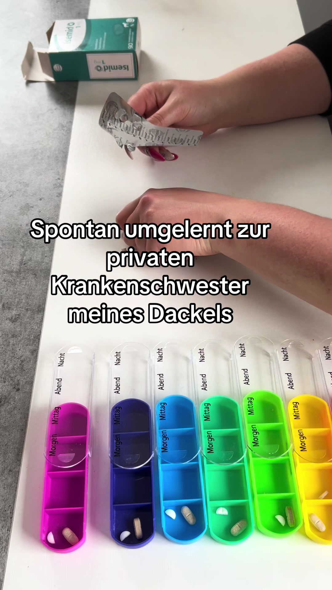 @Die Mit Dem Dackel Tanzt